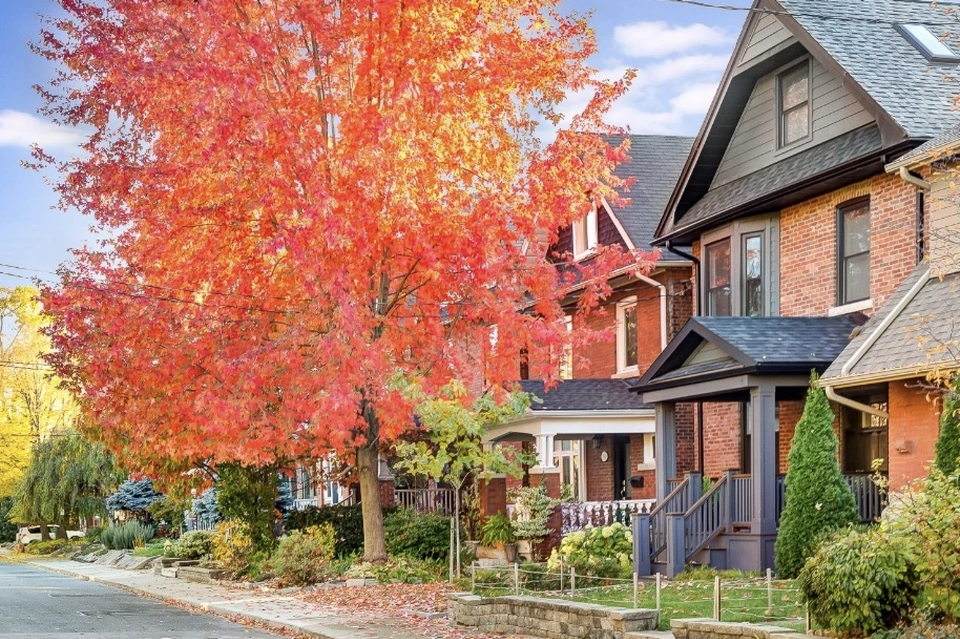 Bloor West Village Home In the Fall